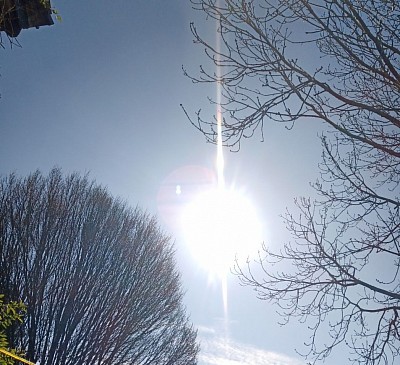 SWORD OF THE SUN..